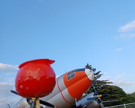 所沢市民フェスティバル